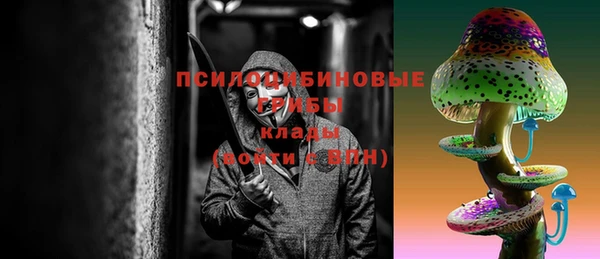 прущий лед Верея