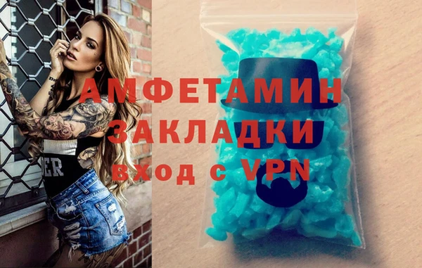 мдпв Бородино