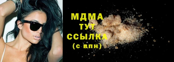 мдпв Бородино