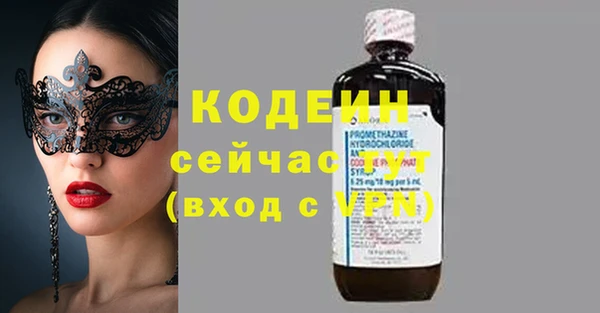 мдпв Бородино