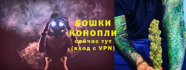 мдпв Бородино