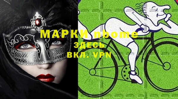 мдпв Бородино