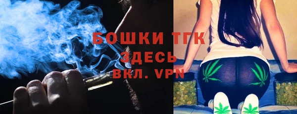 мдпв Бородино