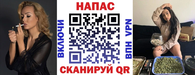 дарнет шоп  Чебоксары  Конопля сатива 